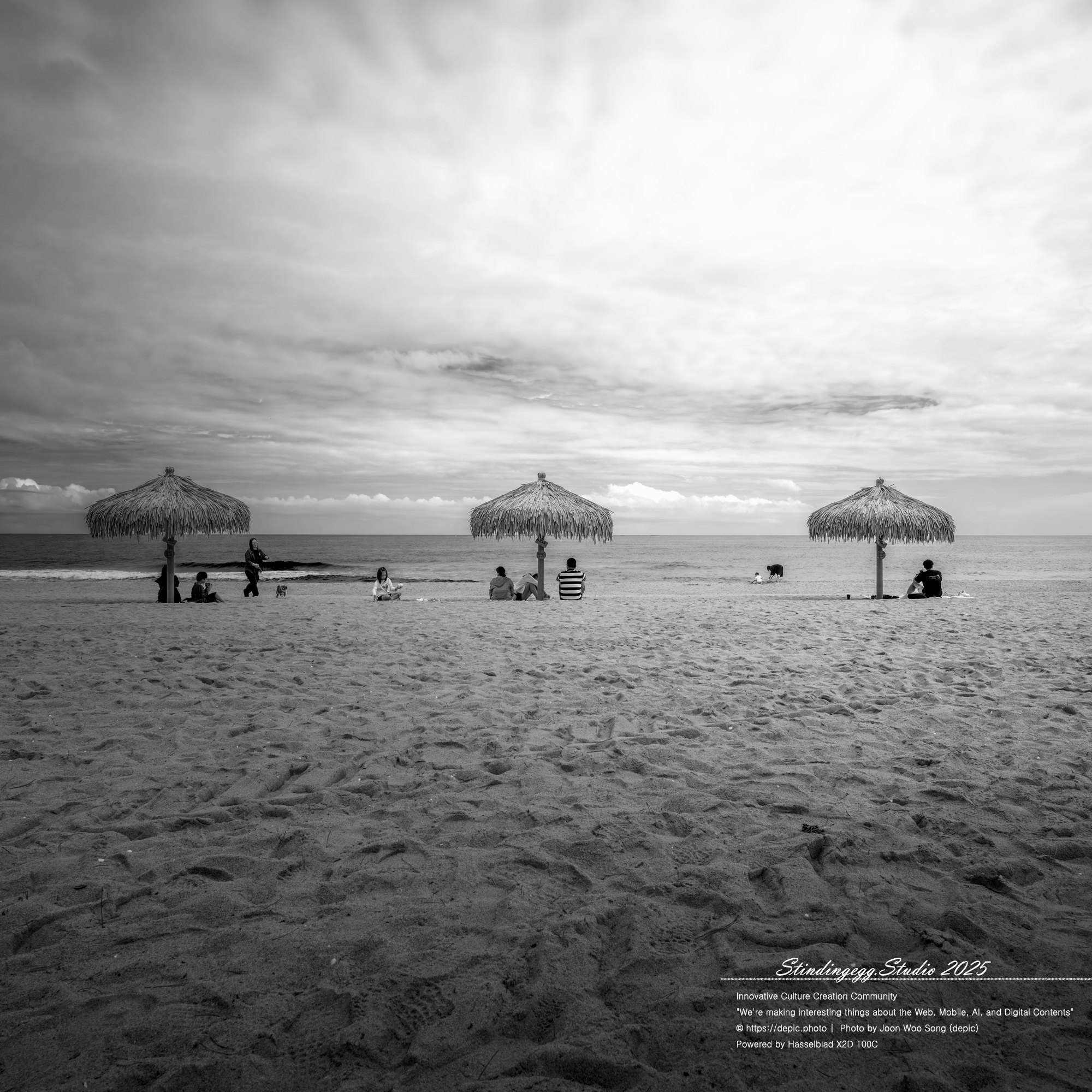 #양양 #낙산 #낙산해변 #해변 #바다 #카페