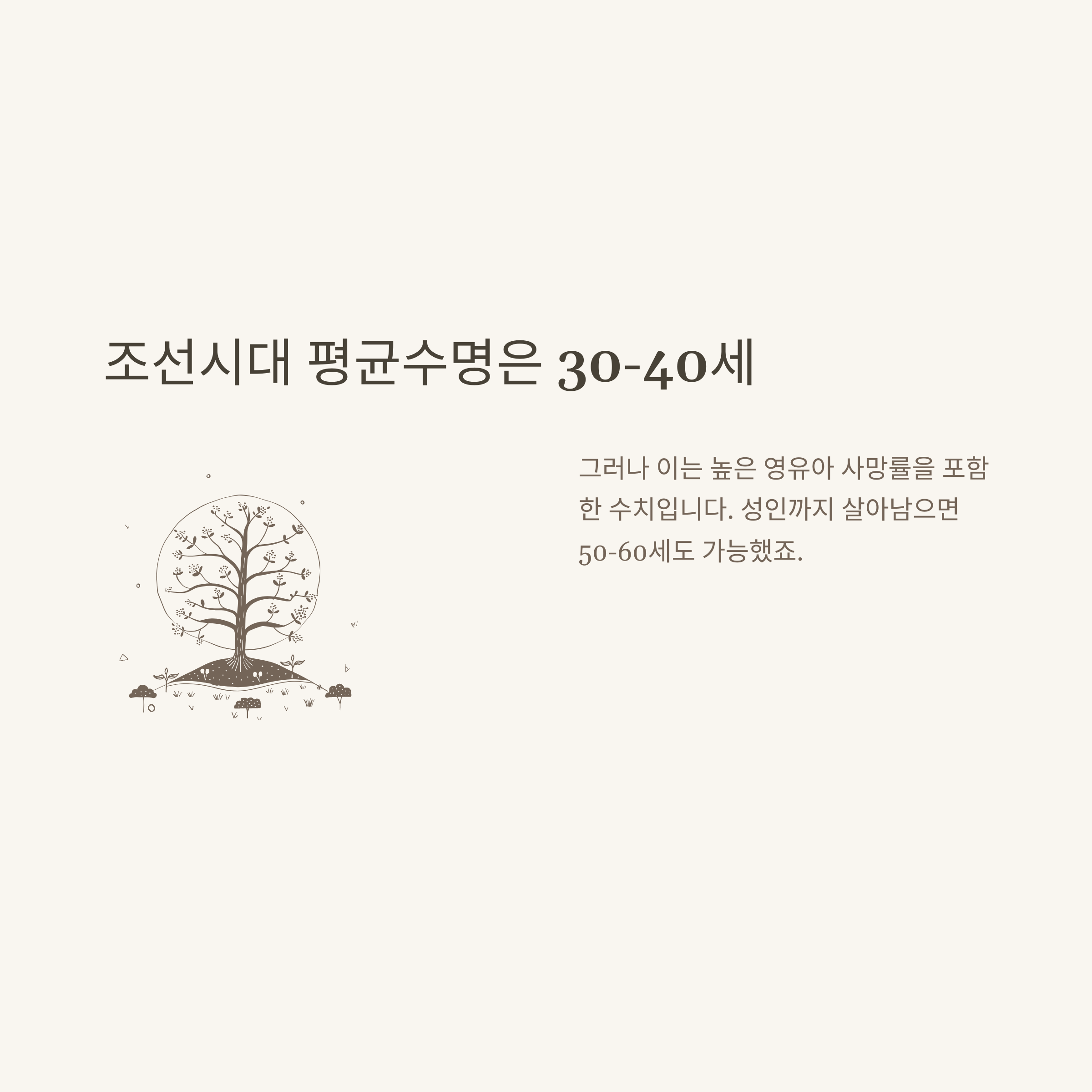 평균수명, 대한민국·남자·여자·강아지·고양이·조선시대까지 확실하게 정리4