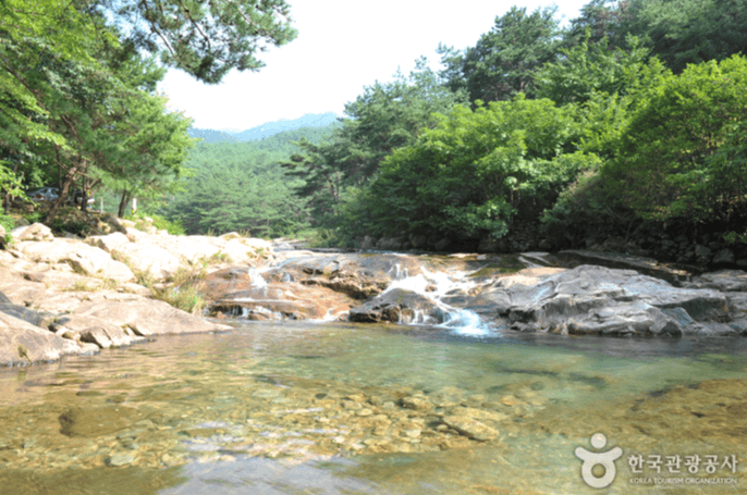 곡성군 도림사계곡