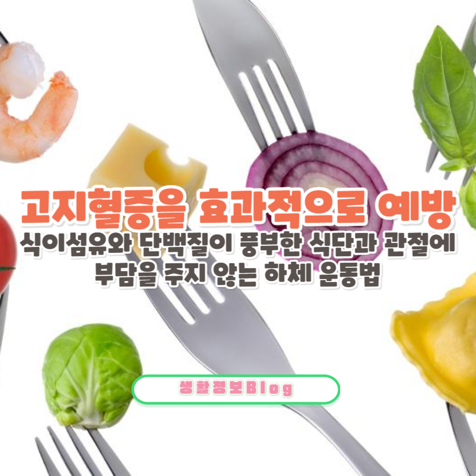 고지혈증을 효과적으로 예방