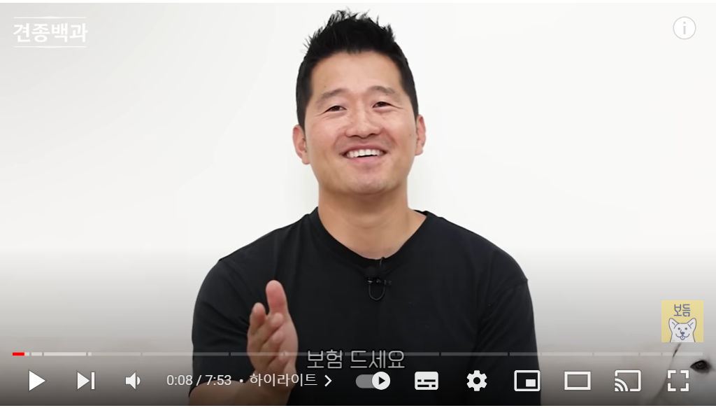 영상 내내 먹기만 함 | 견종백과 래브라도 리트리버편