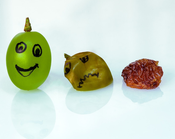 세대별 노화의 징후에 대한 체험 수기