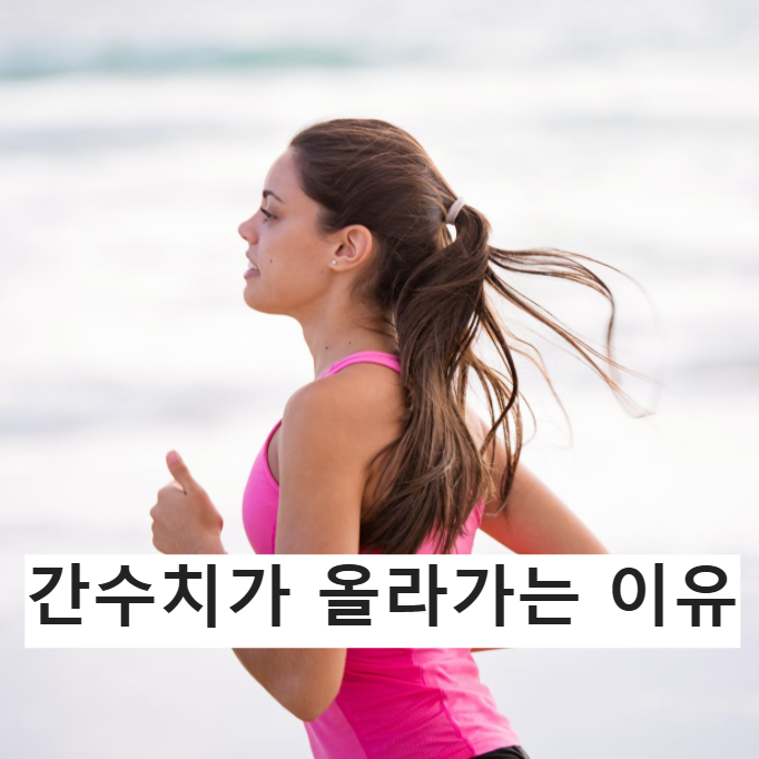간수치가 올라가는 이유