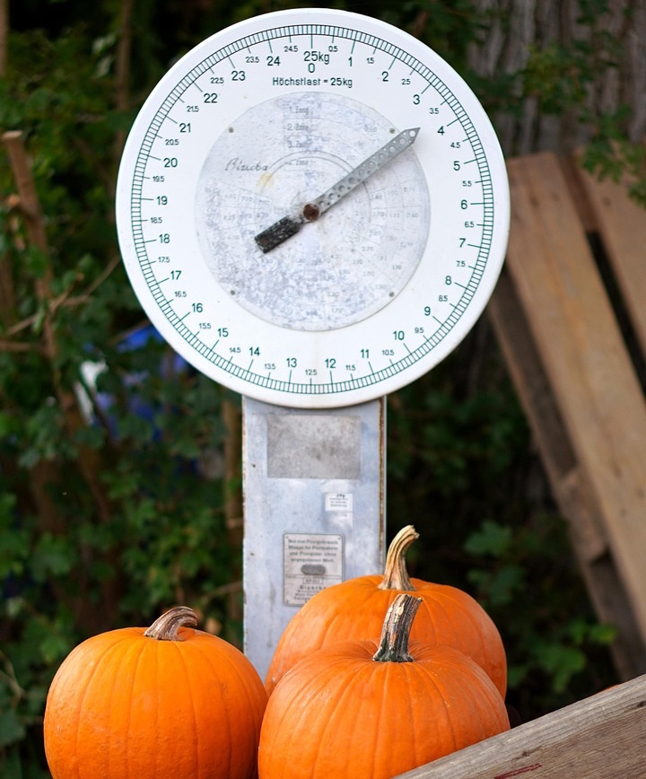 적정체중 계산 및 적정 체중 알아보기