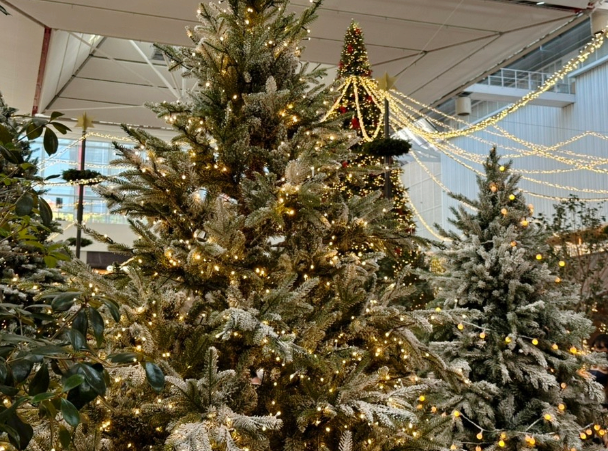 크리스마스 예약