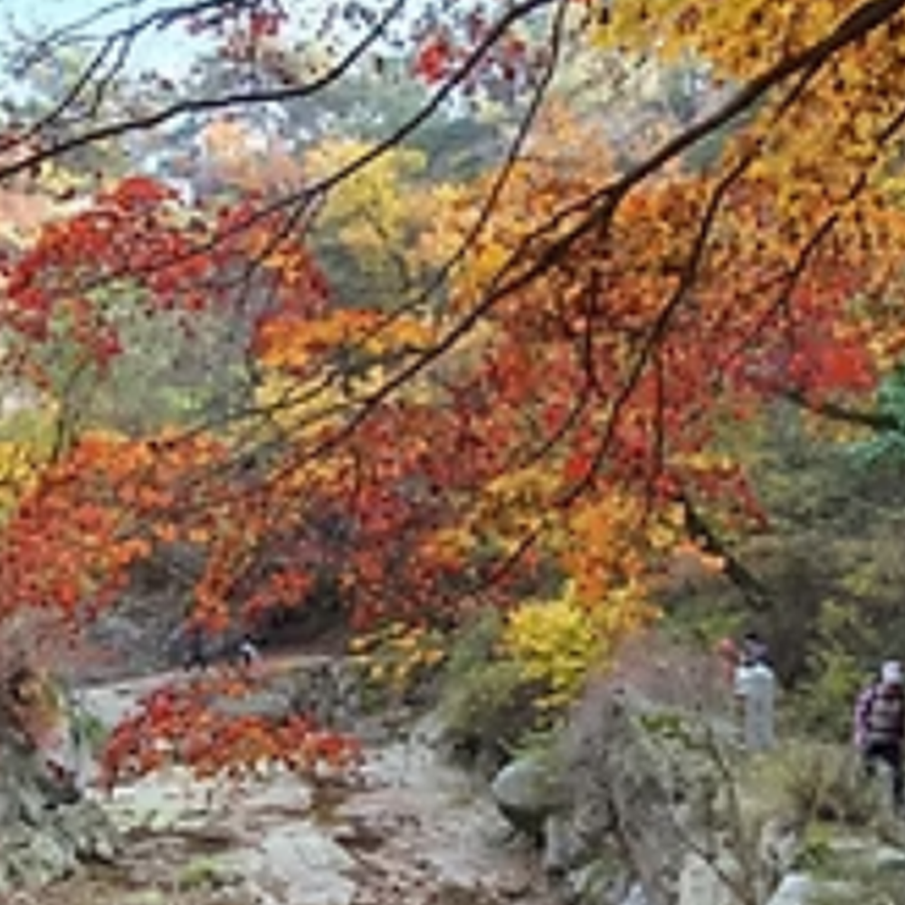 북한산 단풍 절정시기