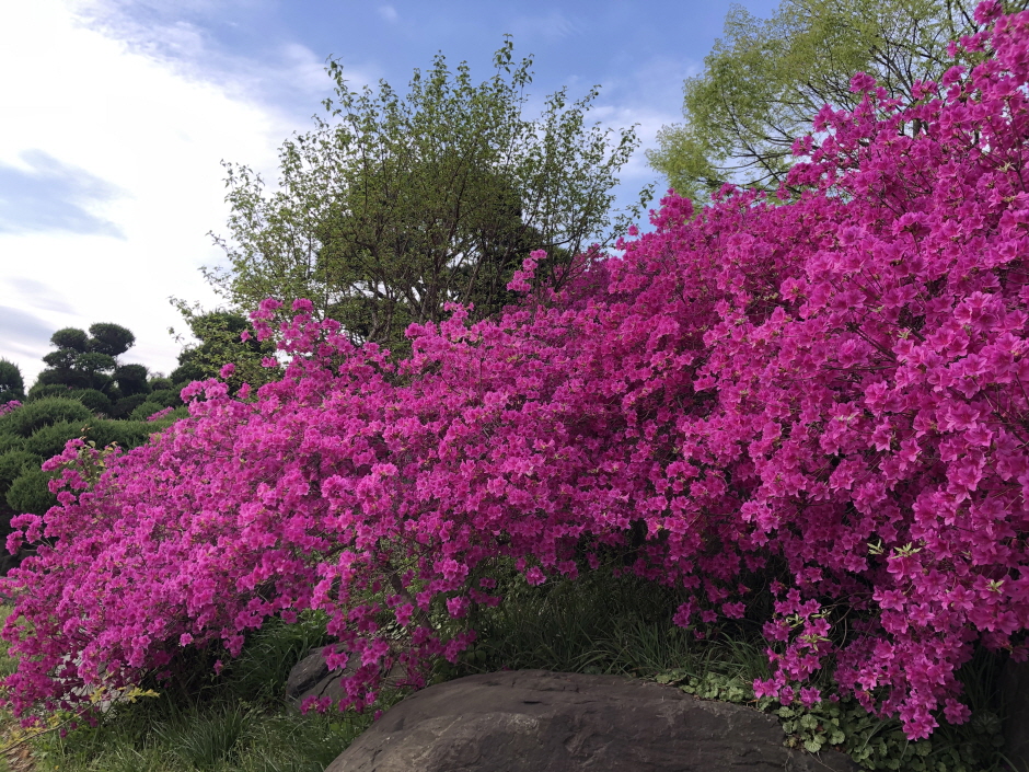 홍성 가볼만한곳 베스트10