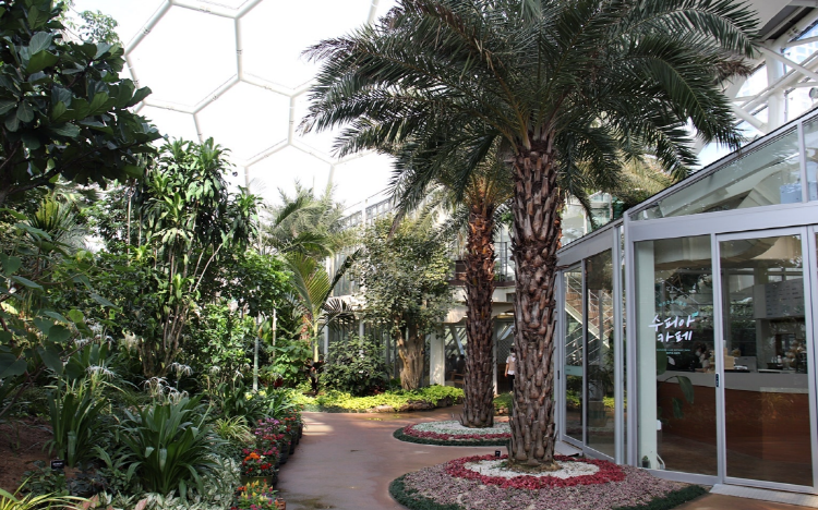 부천호수식물원 수피아