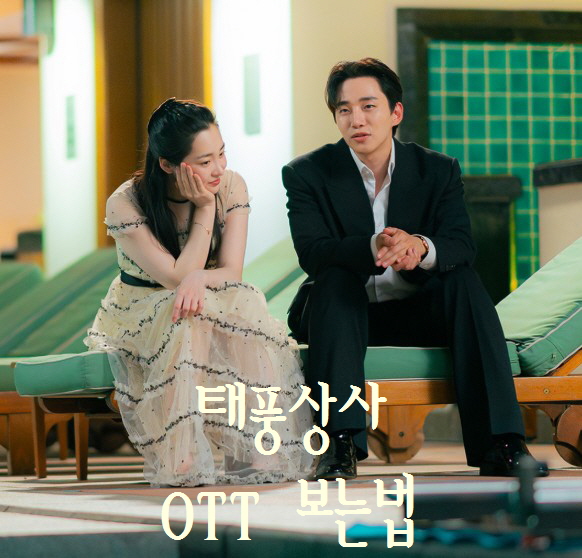 tvN 드라마 태풍상사 OTT 보는법, 기본정보, 몇부작, 시청률, 등장인물, 인물관계도