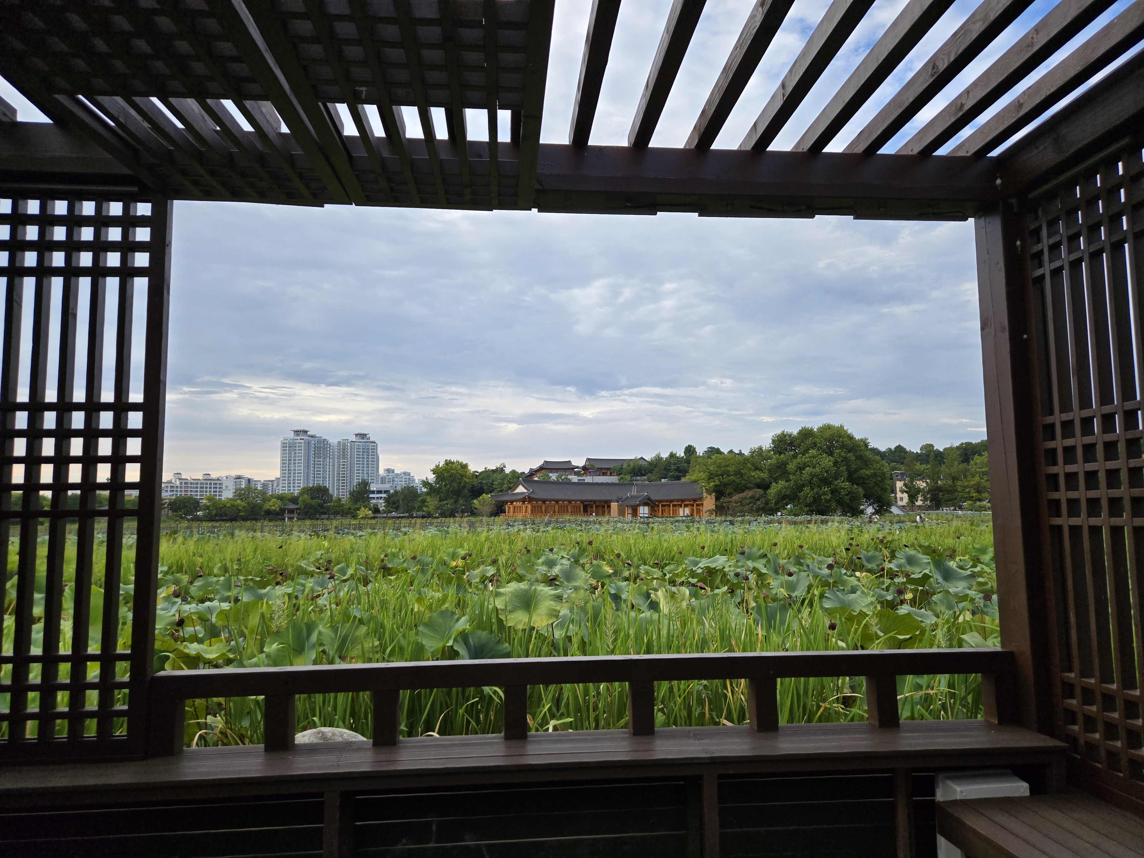 덕진공원 포토 스팟