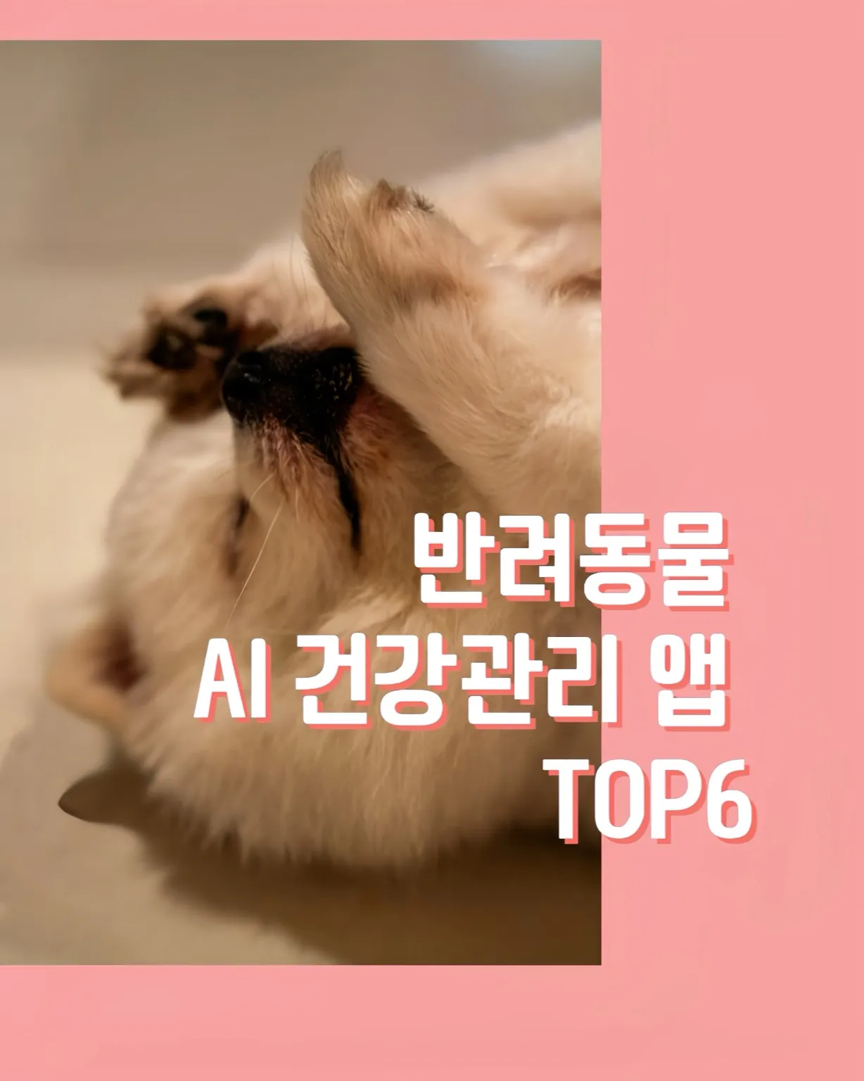 반려동물 건강관리,AI 헬스케어 앱,보험료 할인,반려동물 보험,건강 데이터,펫보험,헬스케어 기술,건강관리형 보험,2025 보험 트렌드,웨어러블 기기,스마트펫,반려동물 앱,반려동물 건강 데이터 자동 기록,반려동물 보험료 절약,AI 기반 진단 앱,펫보험 연동,예방접종 기록 앱,건강 기록 PDF 제출,반려동물 웨어러블 기기,반려동물 건강 모니터링