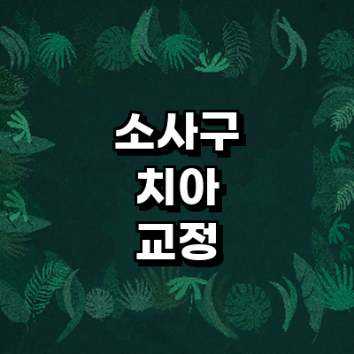 부천 소사구 교정 치과