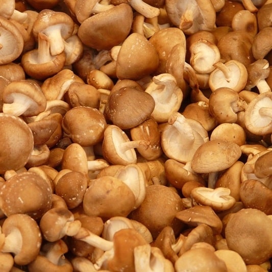 9가지 필수아미노산