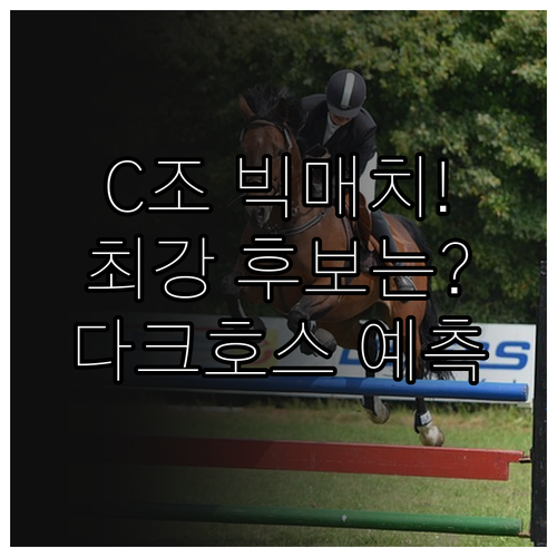 2026 월드컵 C조 분석 우승 후보..