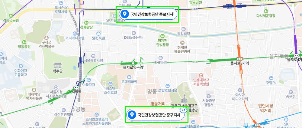 건강보험료 납부 확인서 (7)