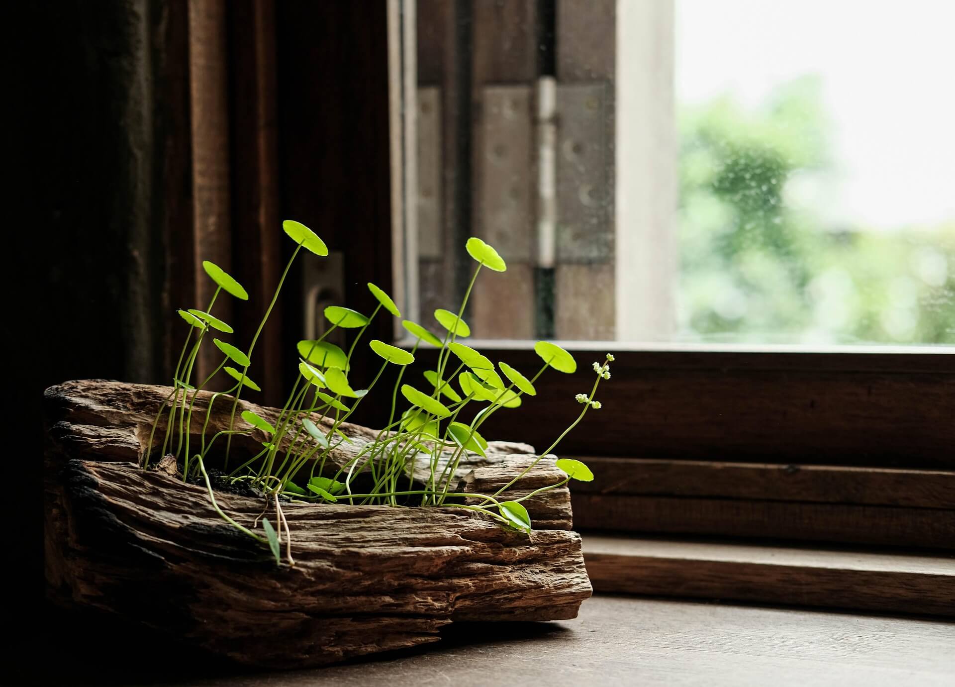 &quot;2026년 독거노인 혜택 총정리! 매달 받는 생활비부터 무료 식사 배달까지&quot;