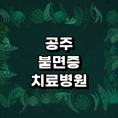 공주시 불면증