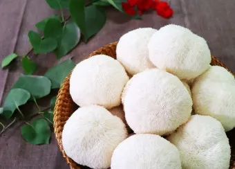 노루궁뎅이 버섯 먹는법, 보관법, 채취시기, 효능, 요리, 가격_31