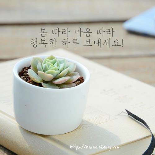 봄따라-마음따라