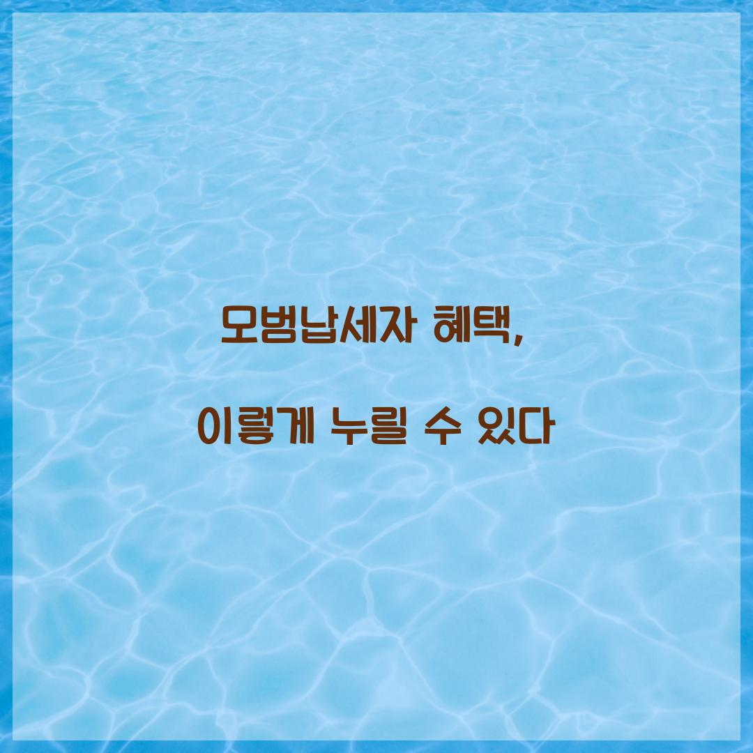 모범납세자 혜택