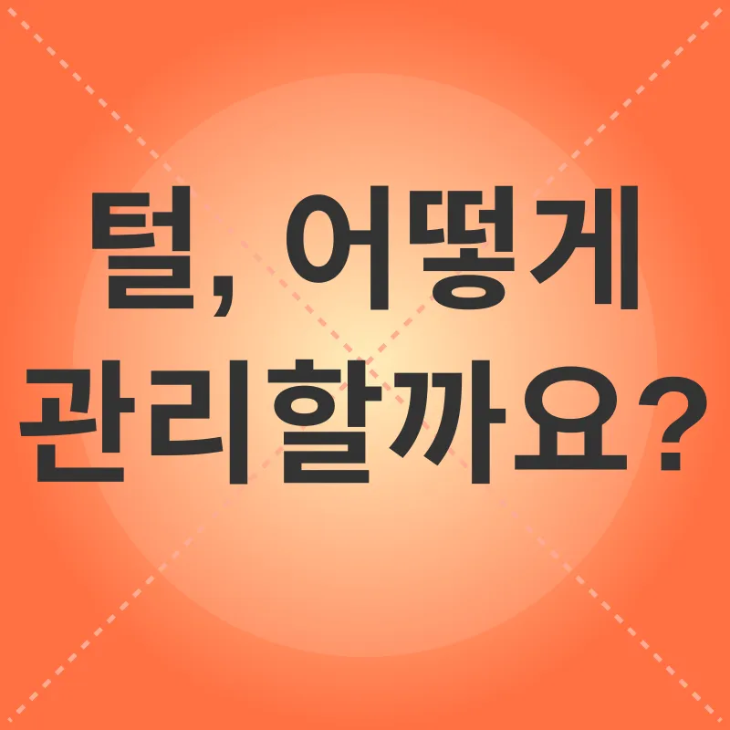 고양이 털갈이_3