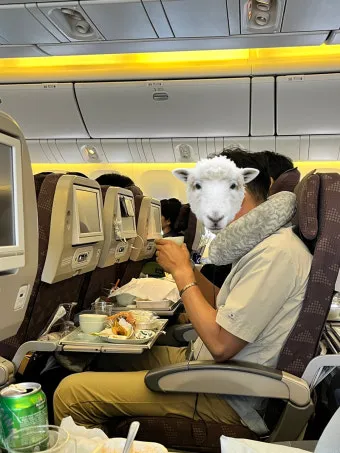 대한항공 KE917 인천취리히 기내식 솔직 후기 메뉴 맛 후기로 총정리_22