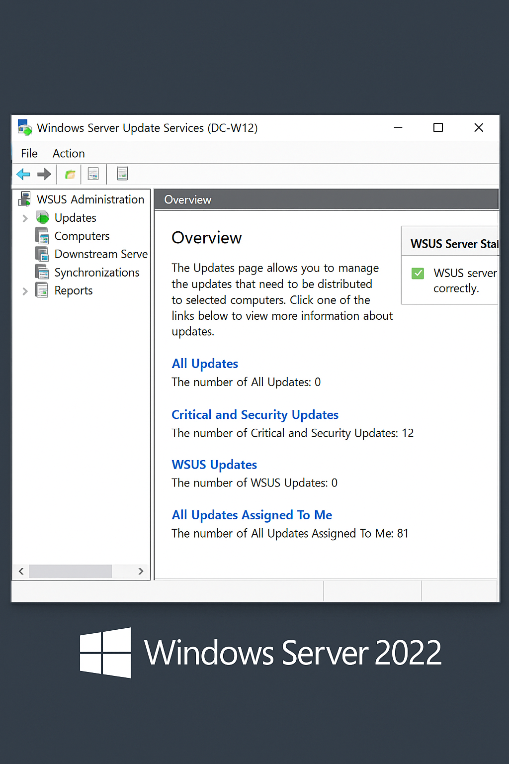 Windows Server 2022에서 WSUS로 Windows Update 중앙 관리 쉽게 따라하기