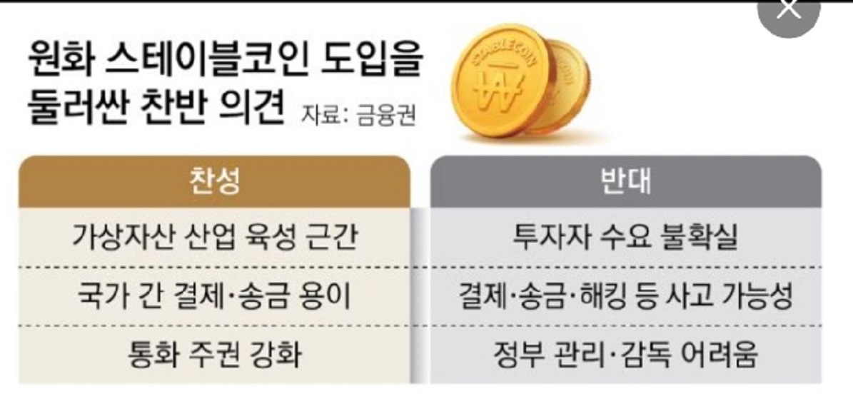 원화-스테이블코인-김용진-교수