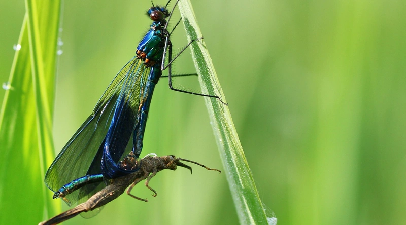 전선 절단 후 피복 벗기기