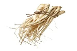 도라지