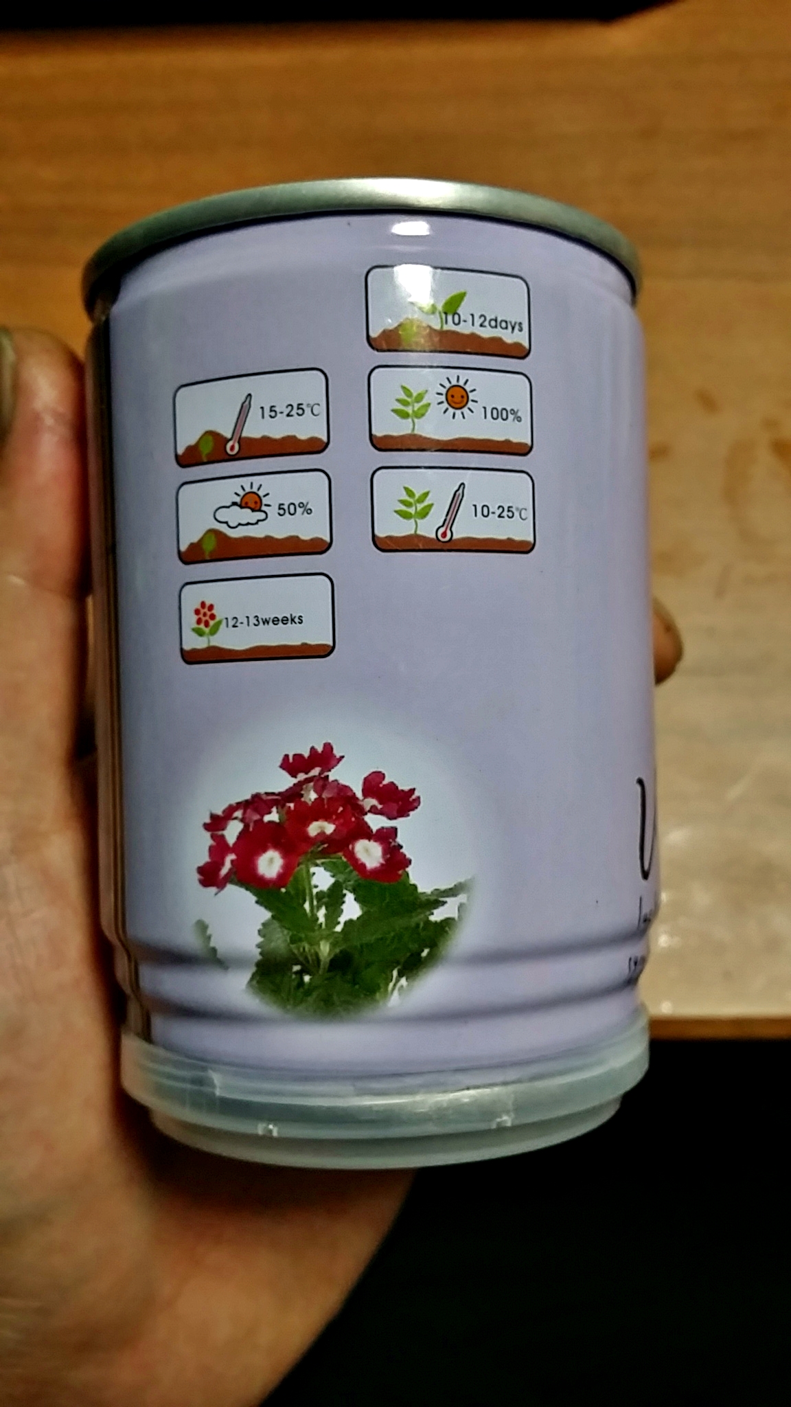 캔식물 키우기