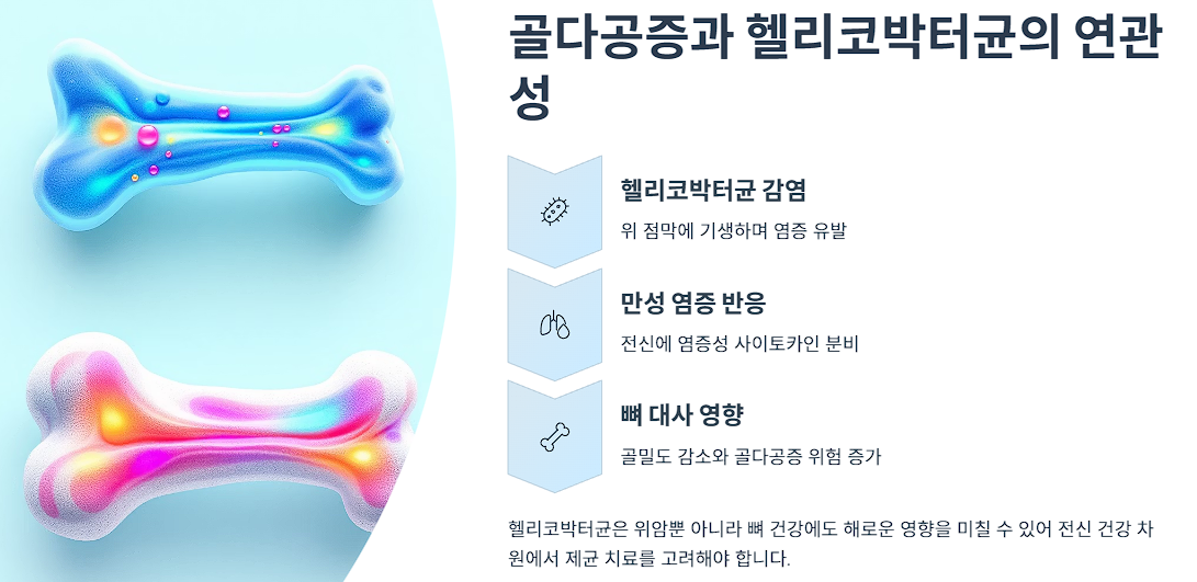골다공증과 헬리코박터균의 연관성