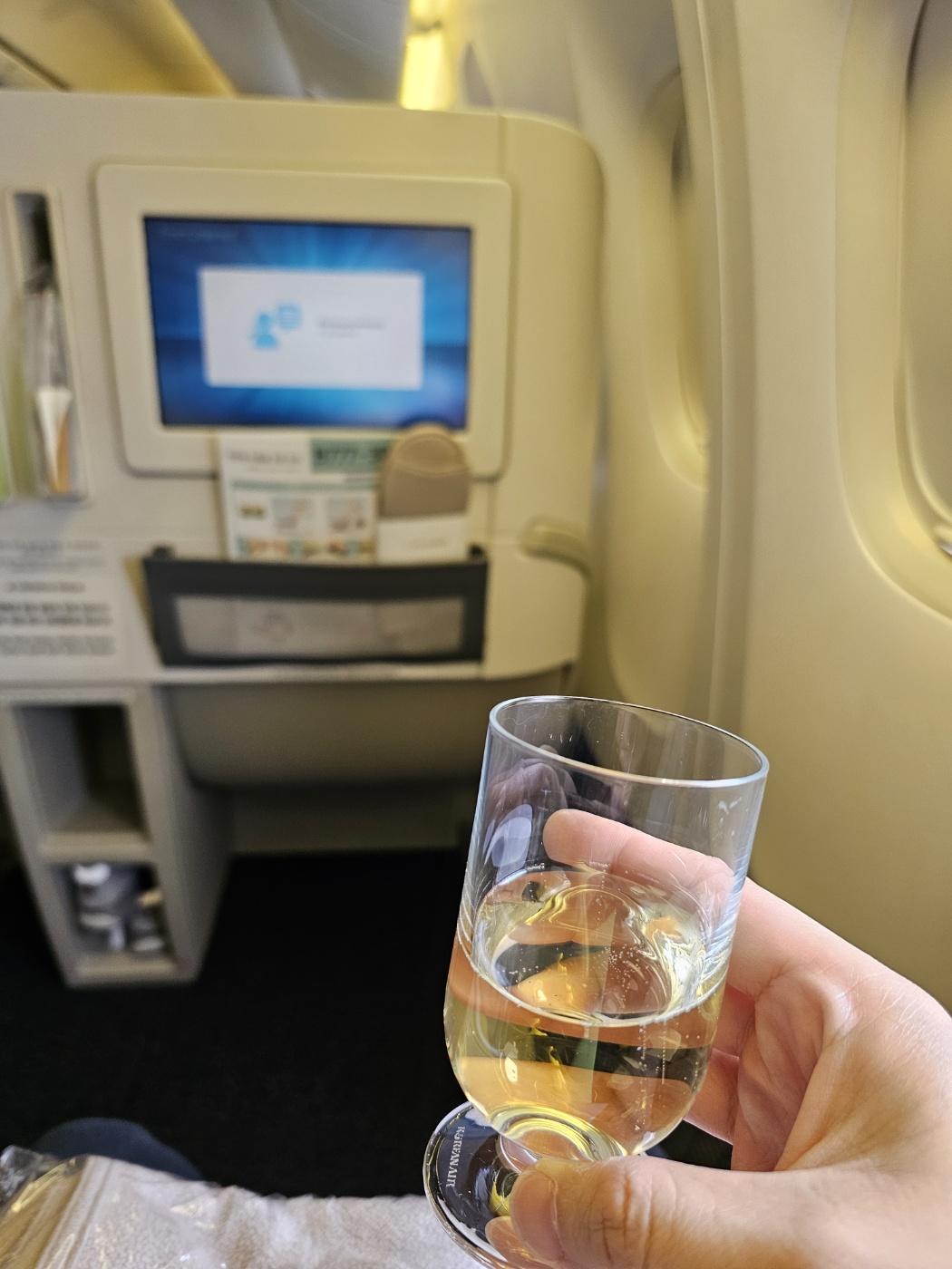 ※ 비지니스 클래스 좌석