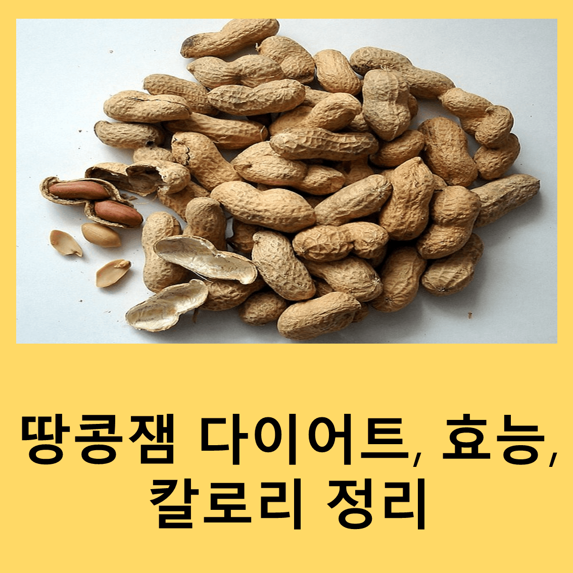 땅콩잼