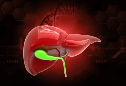 간수치가 높으면 나타나는 증상&amp;#44; 올라가는 이유&amp;#44; 간수치 정상범위 총정리 (2024ver)