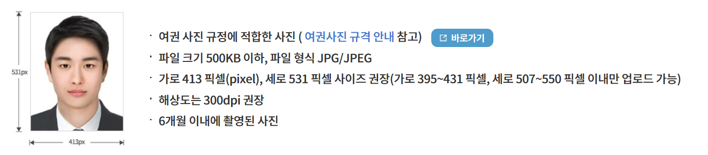 여권 재발급 온라인 신청 제출 가능 사진 파일