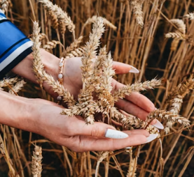 카무트 효소 부작용 분말 다이어트