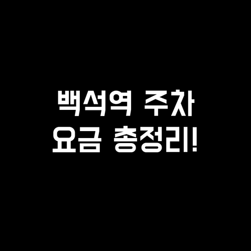 백석역 주변 노상 및 노외 주차장 이..