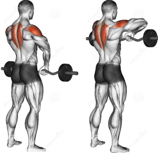 업라이트 로우 자세 모습