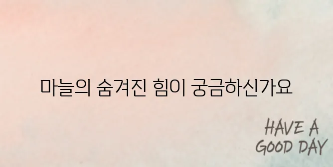 마늘 효능10가지