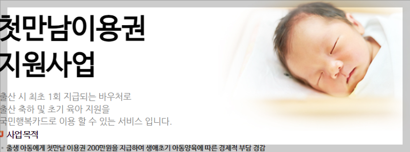 첫만남 이용권 신청, 사용처 3분 정리