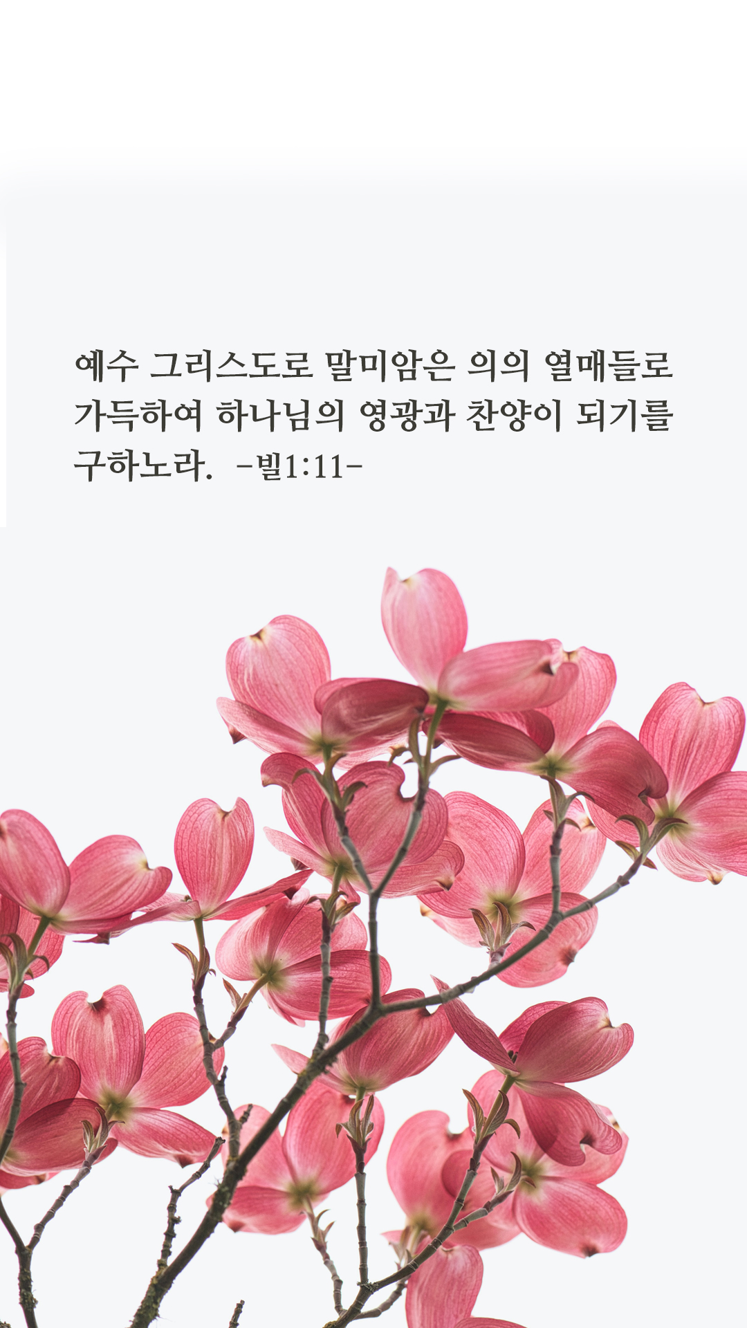 좋은 성경구절