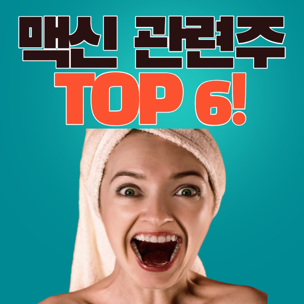 맥신 관련주 TOP 6