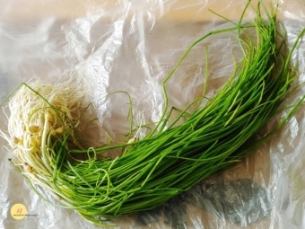 달래 효능 부작용