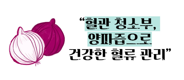 양파즙 효능 고혈압