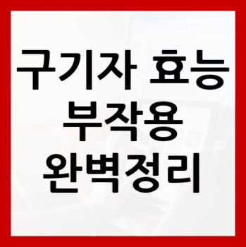 구기자-효능