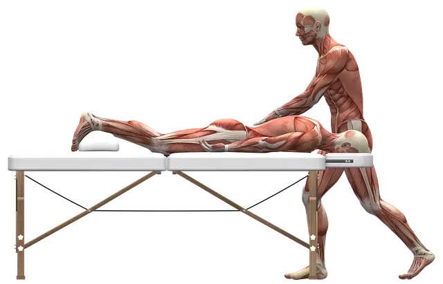 하루 10분 종아리 마사지 방법