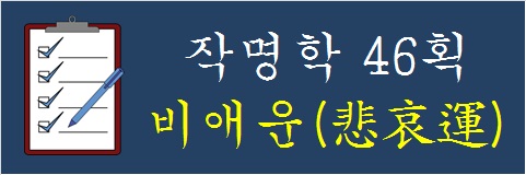 작명학-46획-비애운