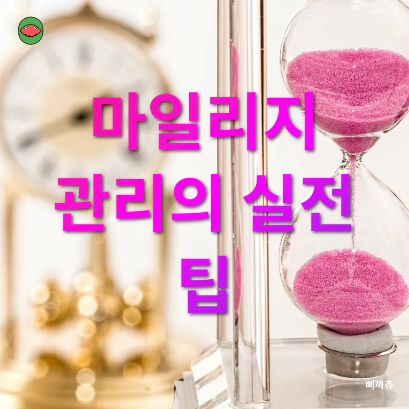 마일리지 관리_3