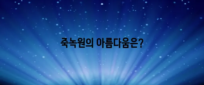 전남 담양 죽녹원 산책 후기